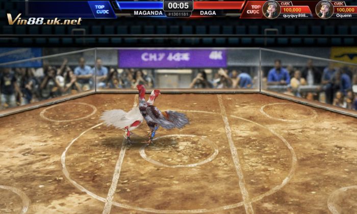 Những ưu điểm khi tham gia chơi đá gà tại Vin88