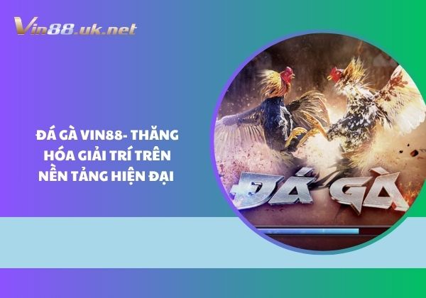 Đá gà Vin88 - Thăng hóa giải trí trên nền tảng hiện đại